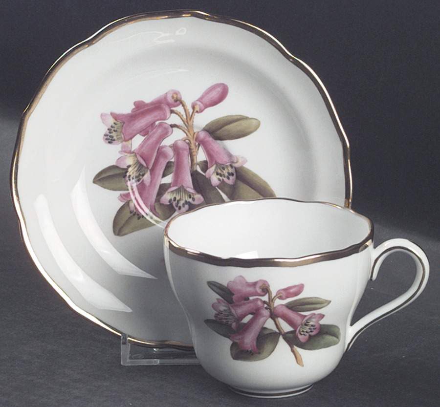 Rhododendron Flat Cup & Saucer Set by Spode-1