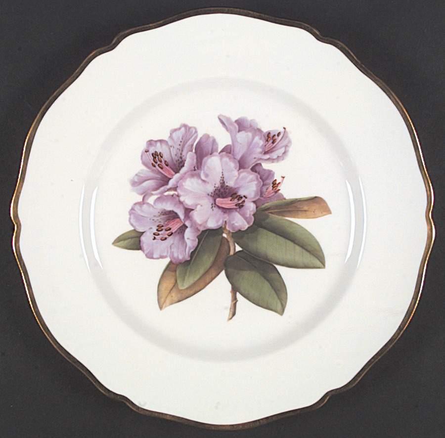 Rhododendron Dinner Plate by Spode-1
