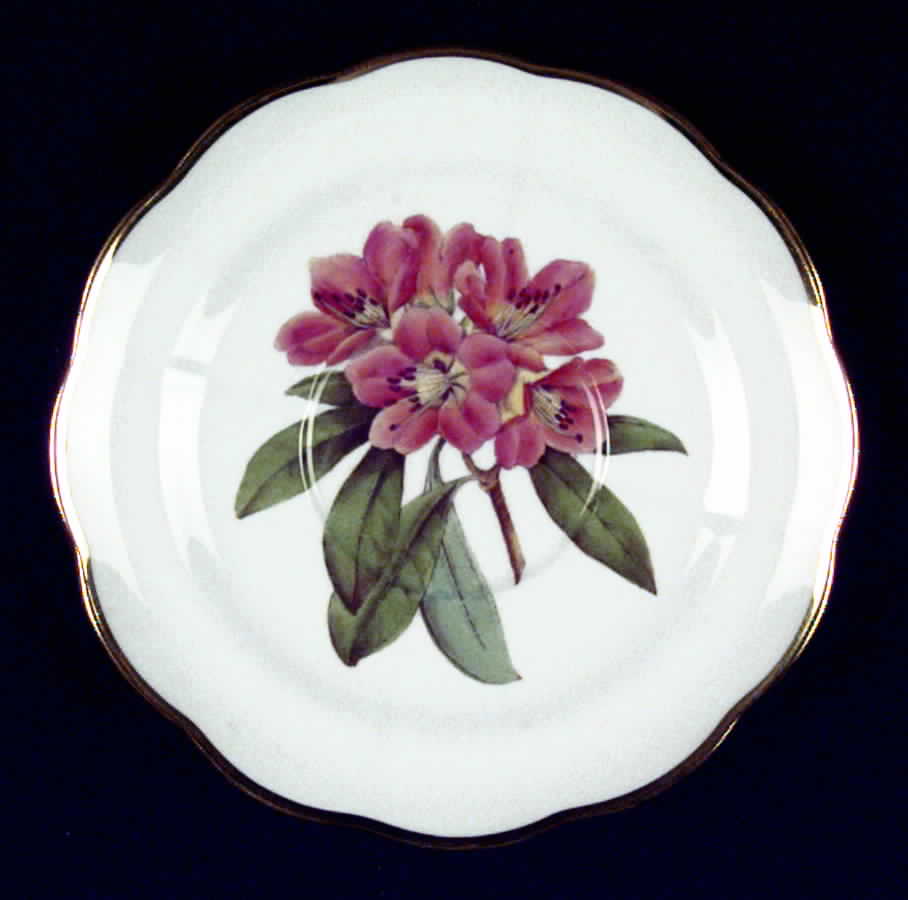 Rhododendron Saucer for Cream Soup Bowl by Spode-1