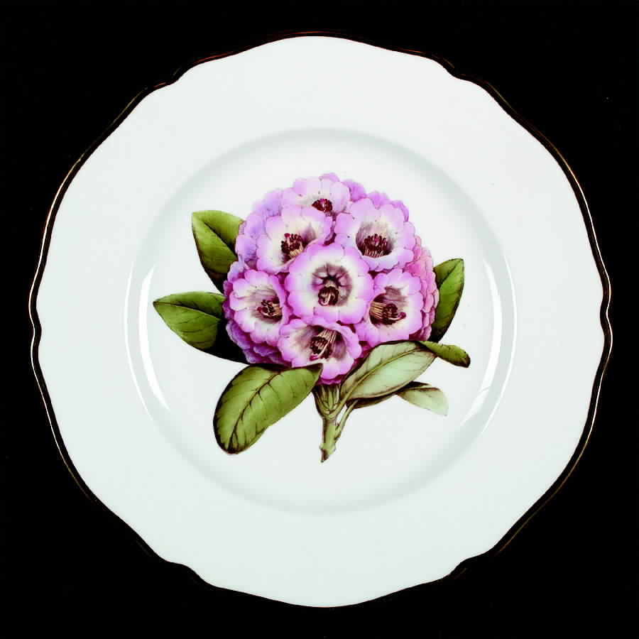 Rhododendron Dinner Plate by Spode-1