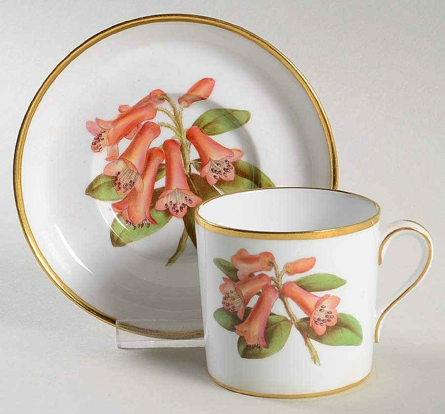 Rhododendron Flat Cup & Saucer Set by Spode-1