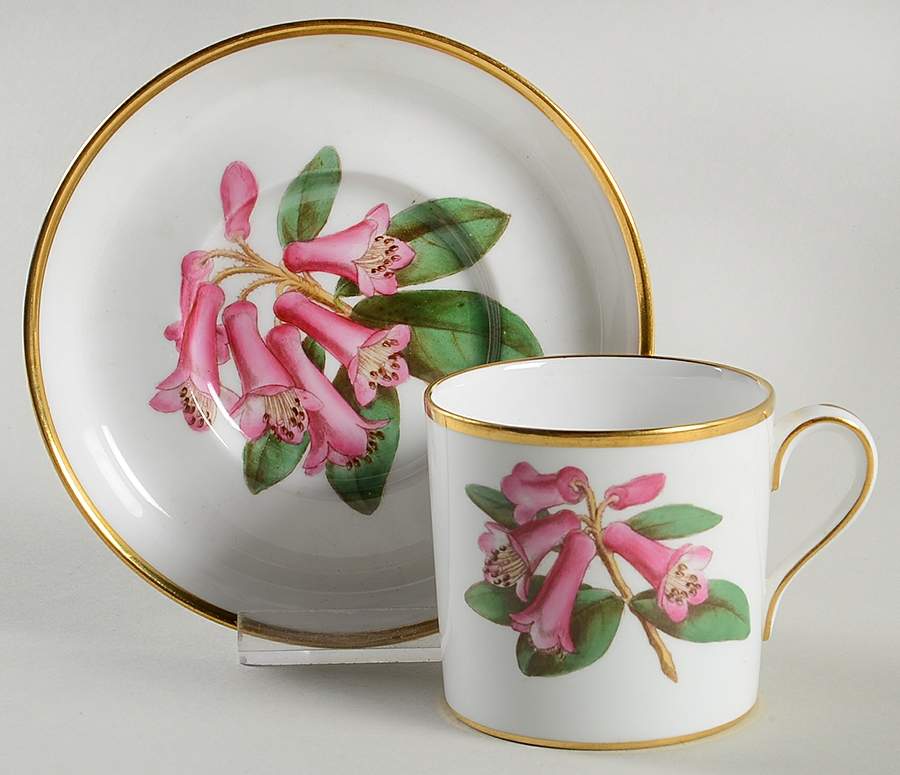 Rhododendron Flat Cup & Saucer Set by Spode-1