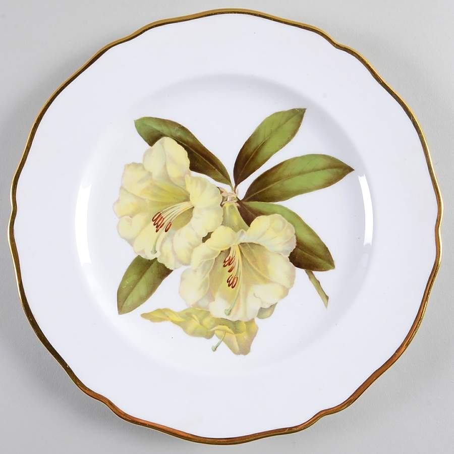 Rhododendron Luncheon Plate by Spode-1