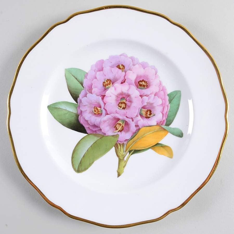 Rhododendron Luncheon Plate by Spode-1