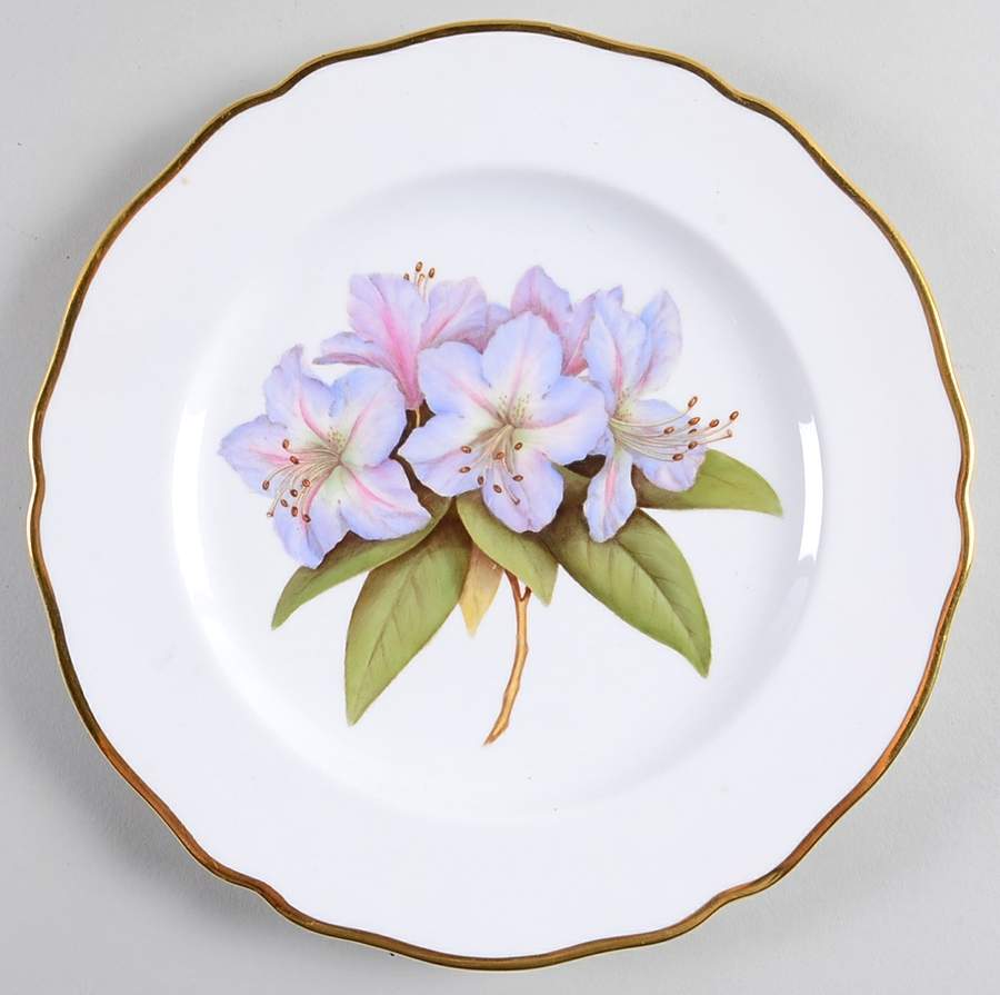 Rhododendron Luncheon Plate by Spode-1