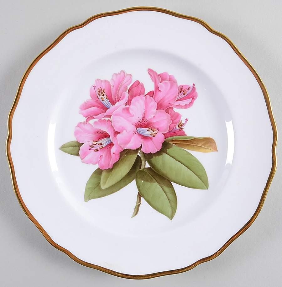Rhododendron Luncheon Plate by Spode-1