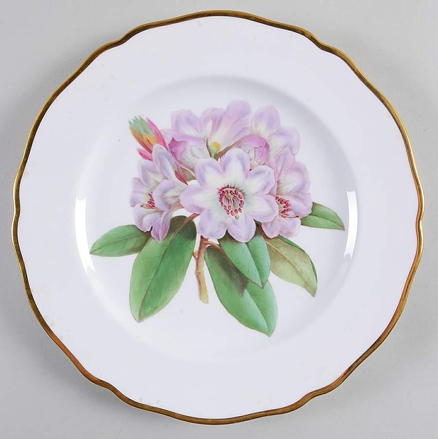 Rhododendron Luncheon Plate by Spode-1