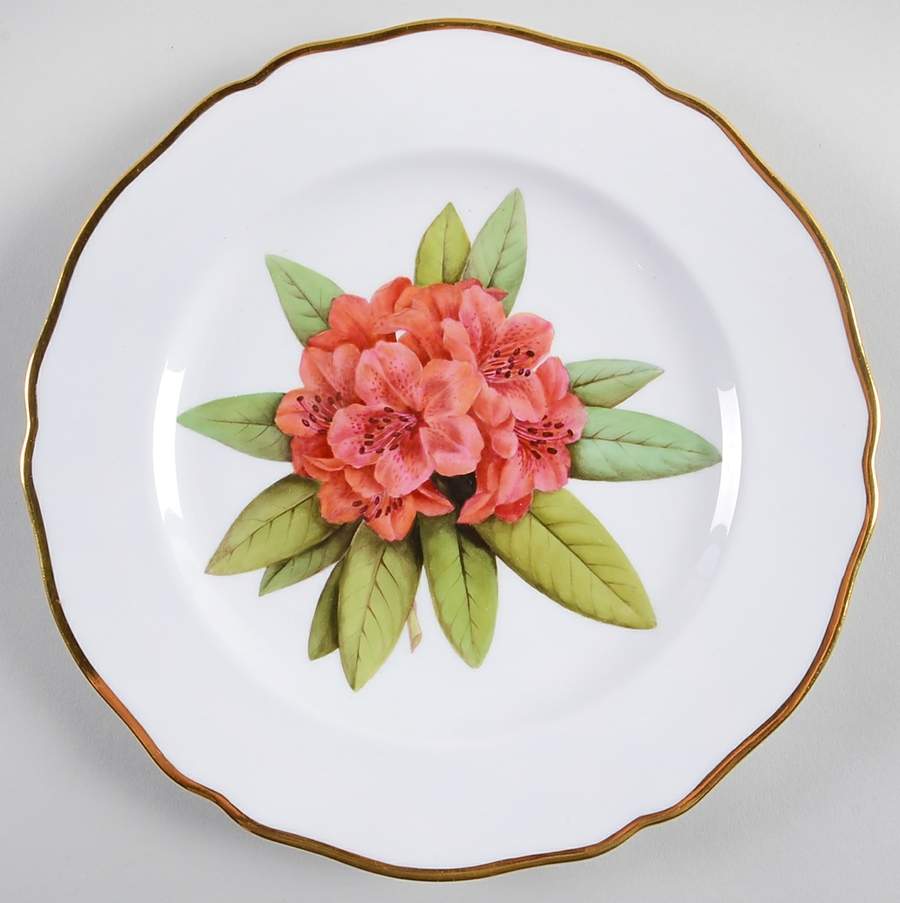 Rhododendron Luncheon Plate by Spode-1