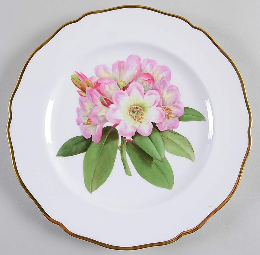 Rhododendron Luncheon Plate by Spode-1