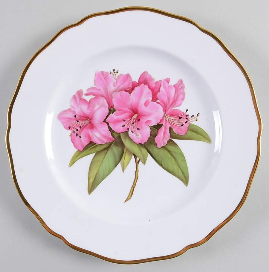 Rhododendron Luncheon Plate by Spode-1