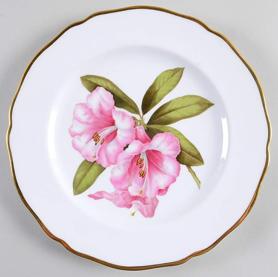 Rhododendron Luncheon Plate by Spode-1