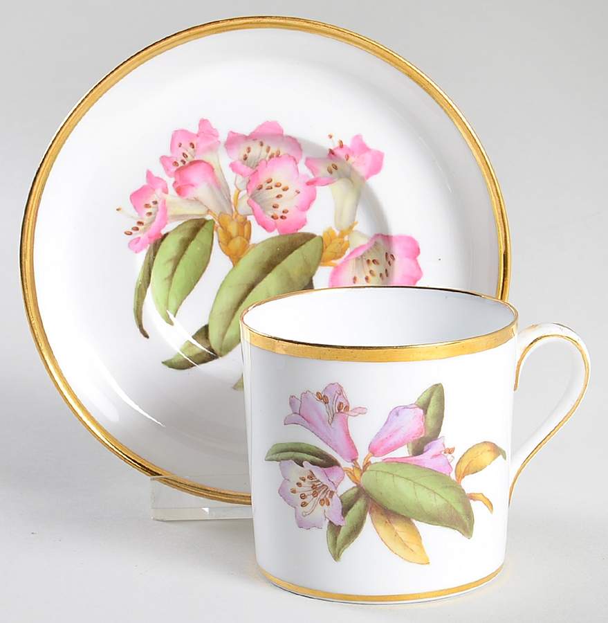 Rhododendron Flat Cup & Saucer Set by Spode-1