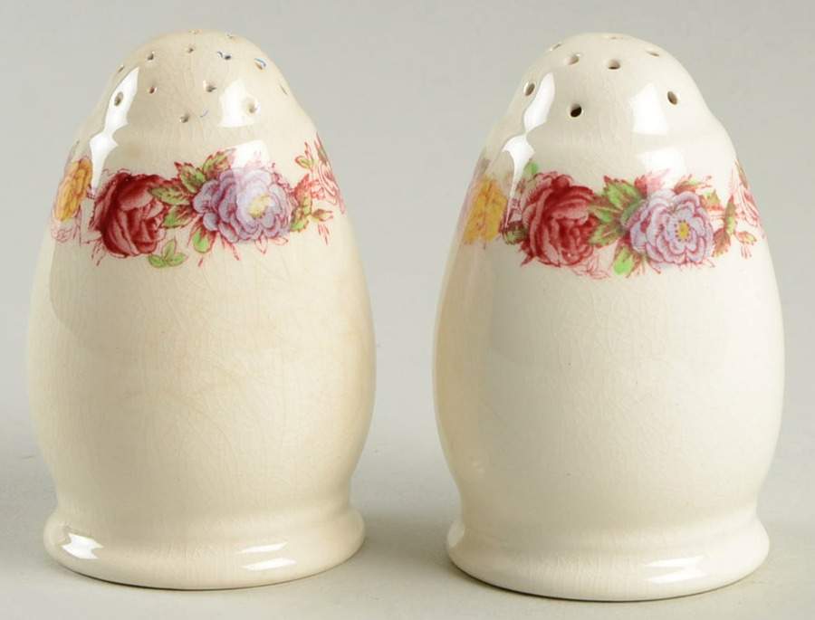 Rose Briar Salt & Pepper Set by Spode-1