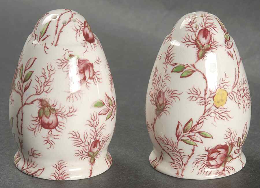 Rosebud Chintz (2-8401, Pink Vine) Salt & Pepper Set by Spode-1