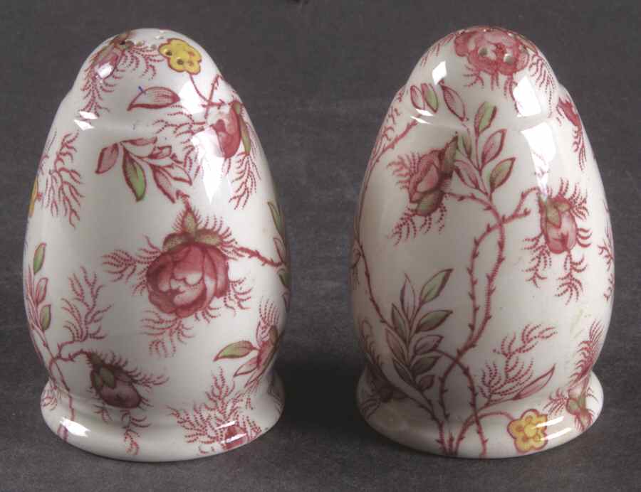 Rosebud Chintz (2-8401, Pink Vine) Salt & Pepper Set by Spode-1