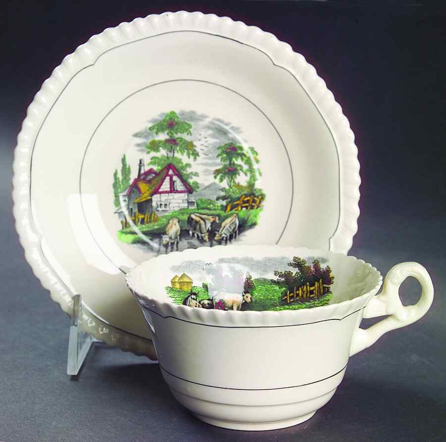 Rural Scenes Flat Cup & Saucer Set by Spode-1