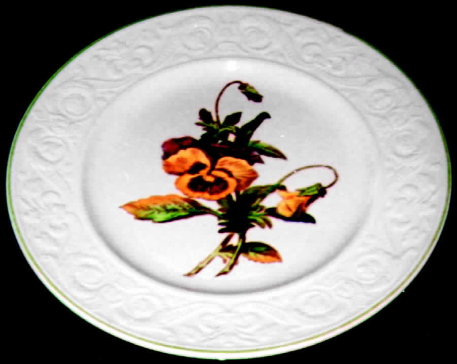 S-7367 Dinner Plate by Spode-1