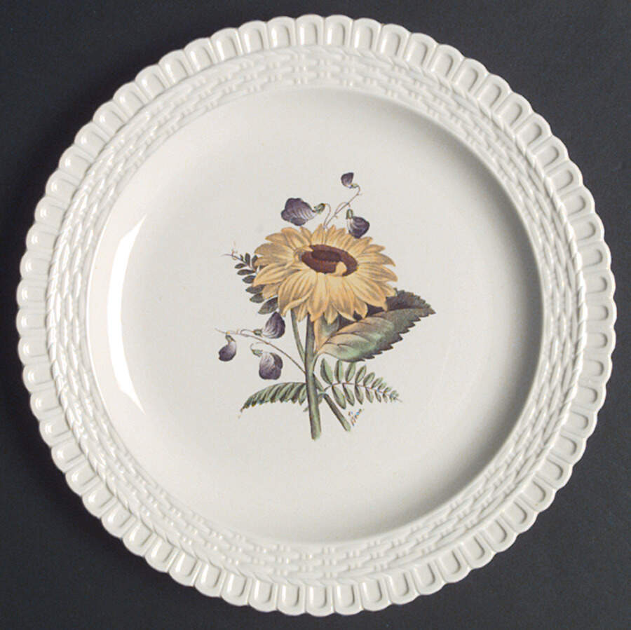 Kibblestone Plants Luncheon Plate by Spode-1