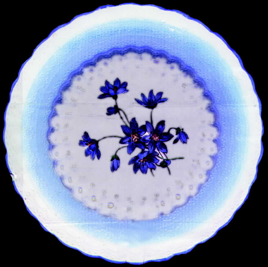 S427 Dinner Plate by Spode-1