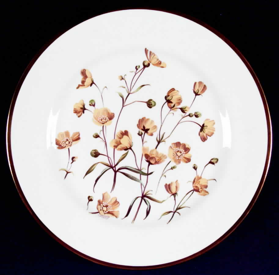 Summer Meadow Dinner Plate by Spode-1