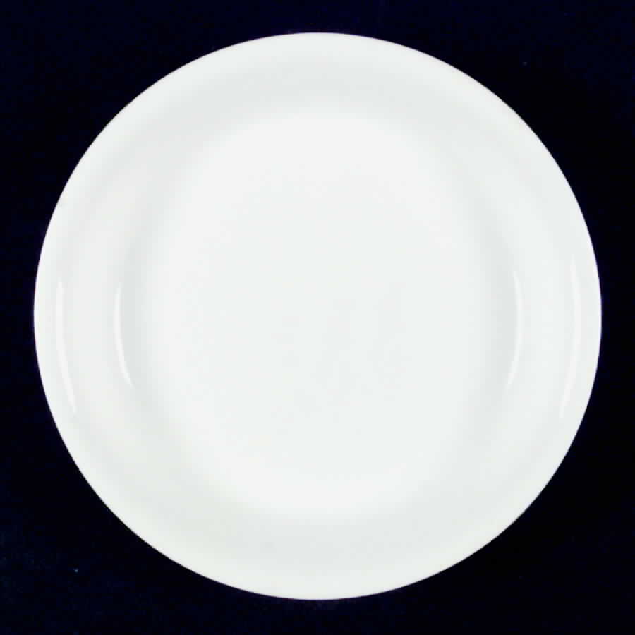 SP16 Dinner Plate by Spode-1