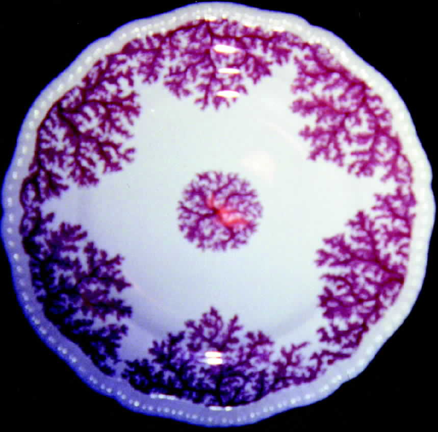 SP18 Dinner Plate by Spode-1