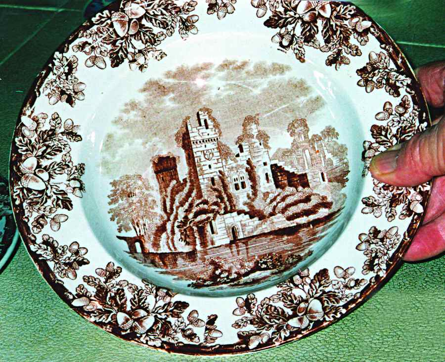 Acora (Smooth) Large Rim Soup Bowl by Spode-1