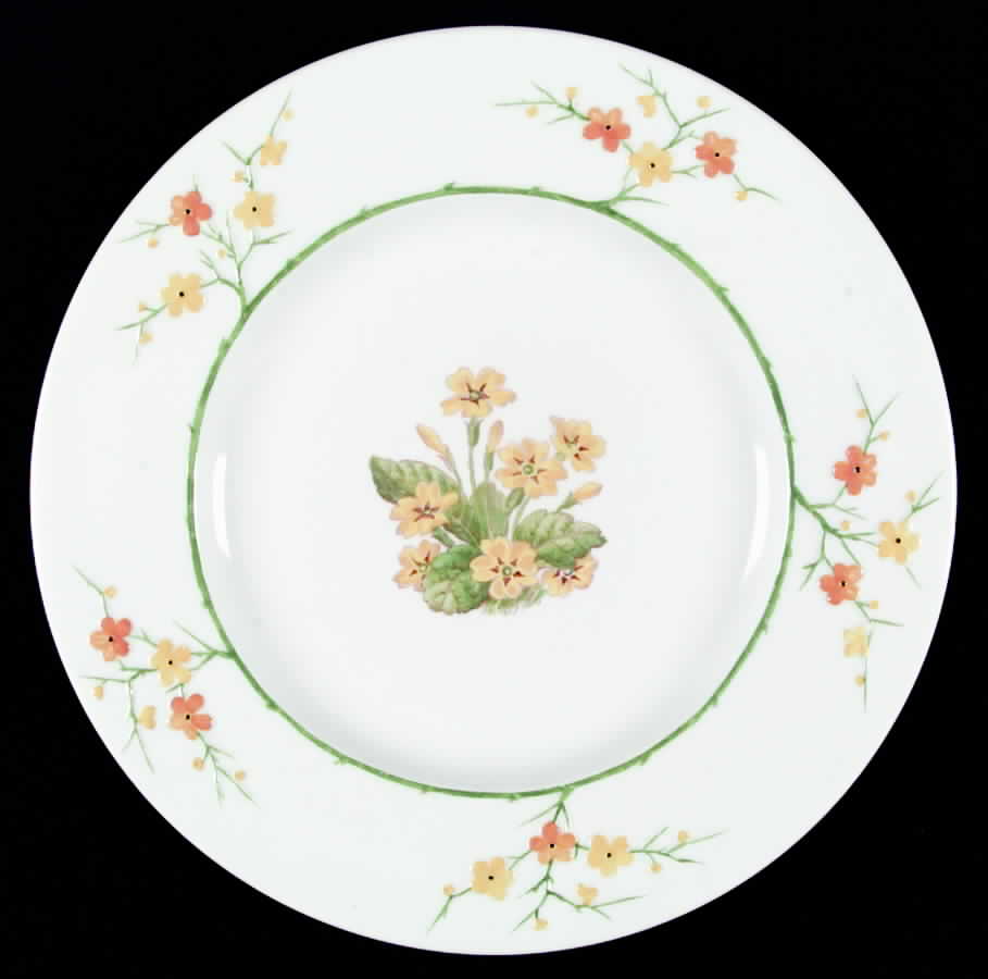 Y3518 Dinner Plate by Spode-1