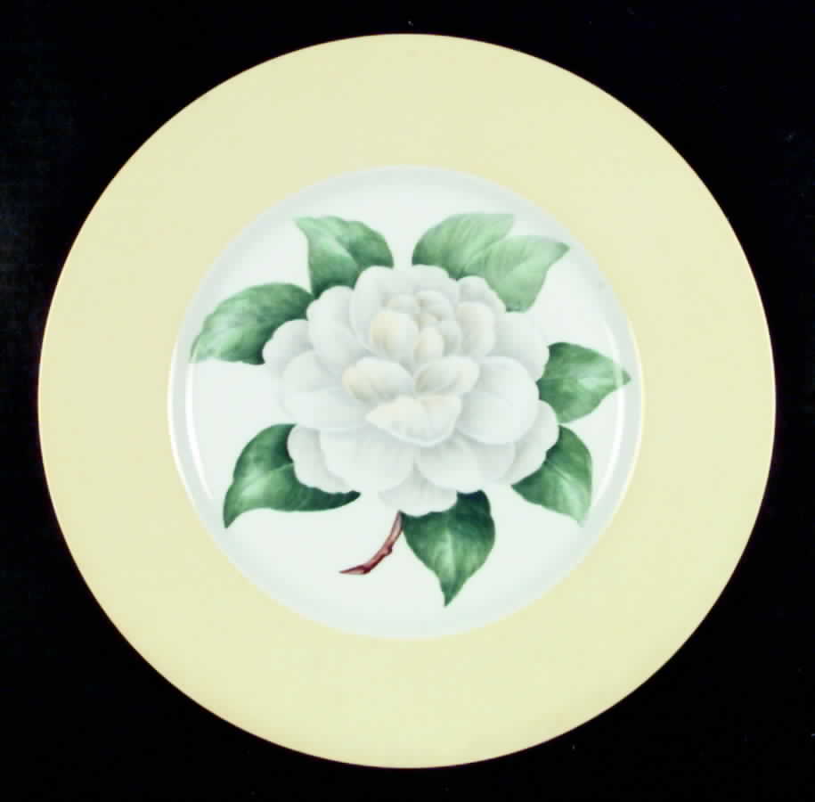 SP28 Dinner Plate by Spode-1