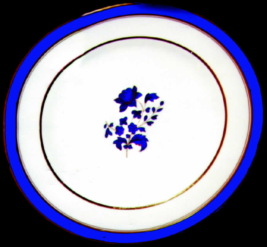 SP42 Dinner Plate by Spode-1
