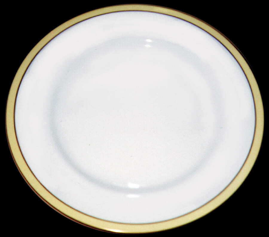 SP82 Dinner Plate by Spode-1