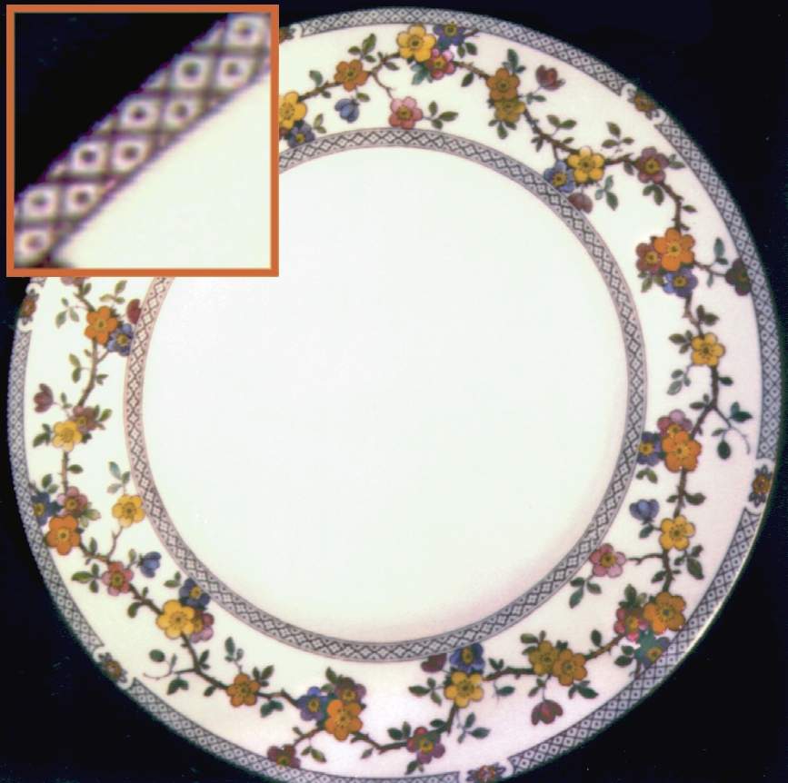 Spring Dinner Plate by Spode-1