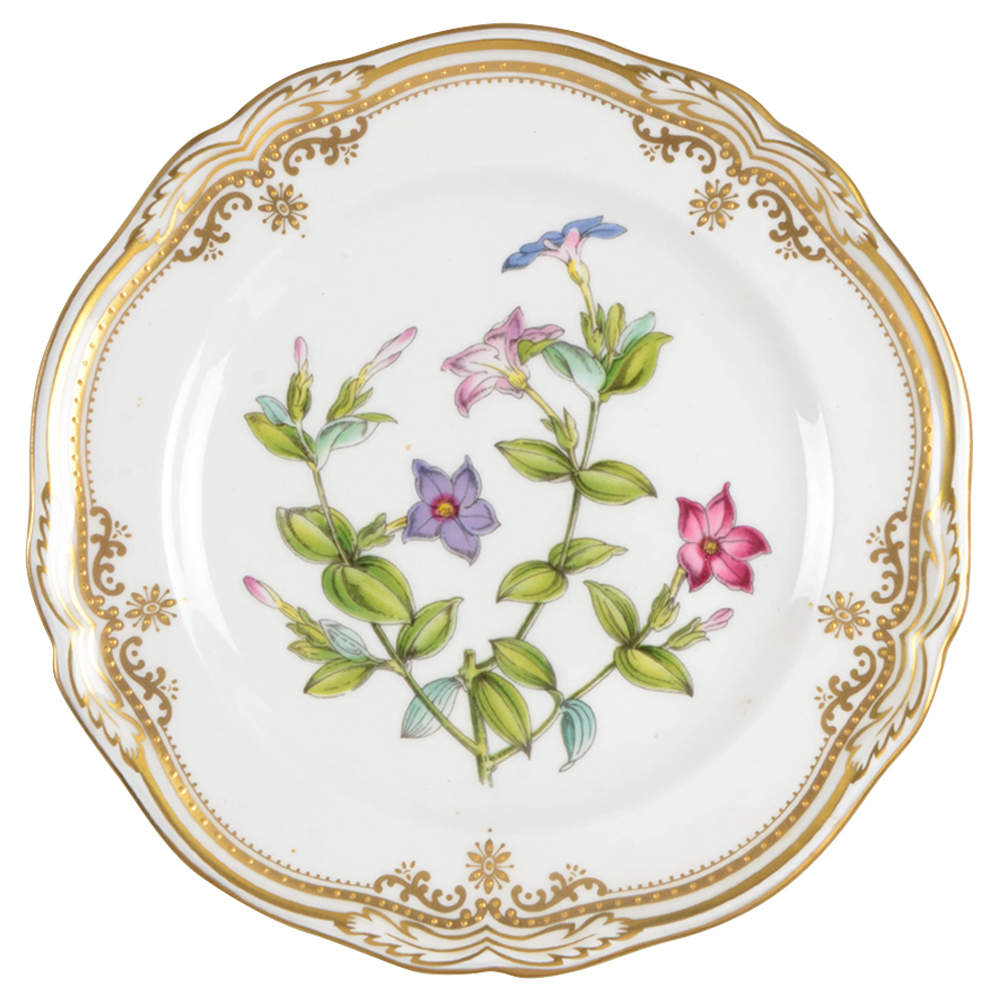Stafford Flowers Bread & Butter Plate by Spode-1