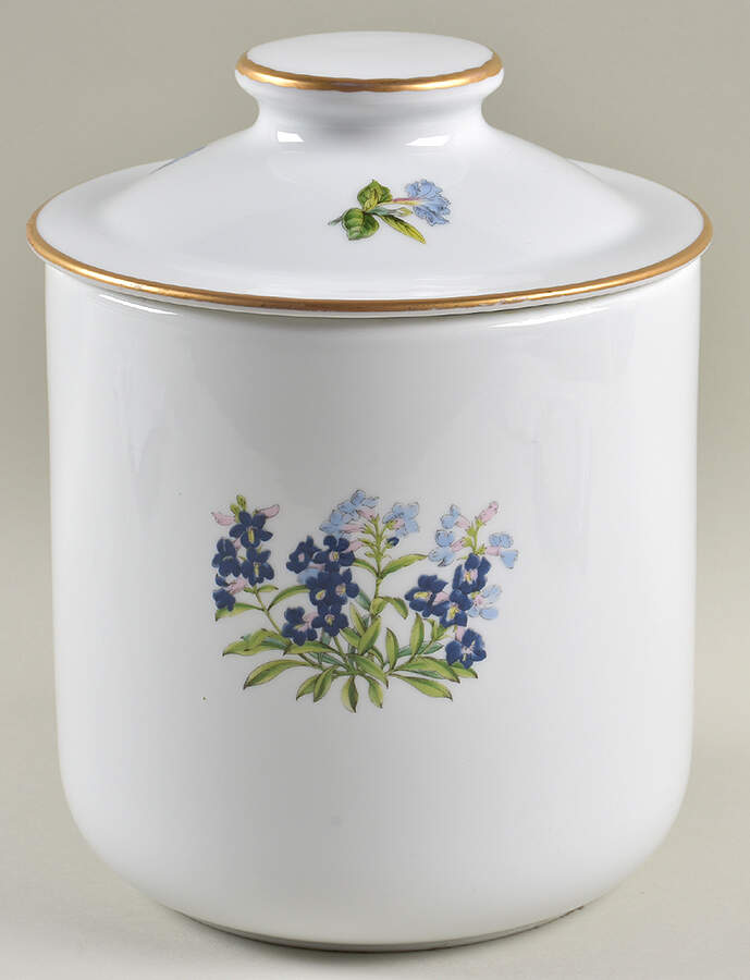 Stafford Flowers Large Oven To Table Canister & Lid by Spode-1