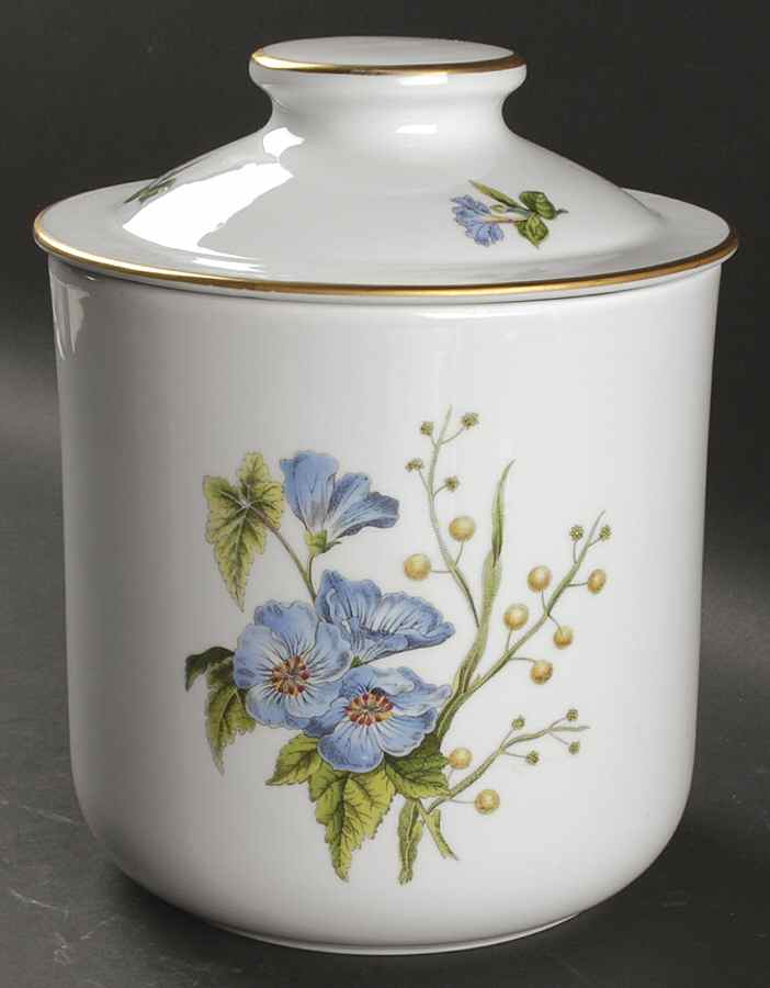 Stafford Flowers Large Oven To Table Canister & Lid by Spode-1