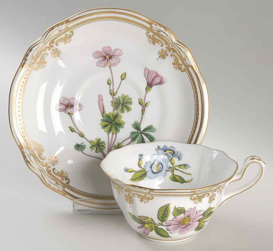 Stafford Flowers Flat Cup & Saucer Set by Spode-1