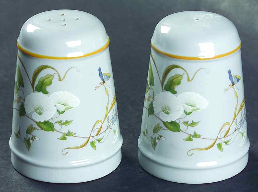 Summer Harvest Salt & Pepper Set by Spode-1