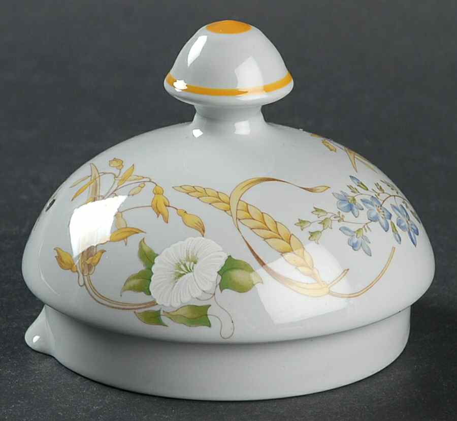 Summer Harvest Lid for Coffee Pot by Spode-1
