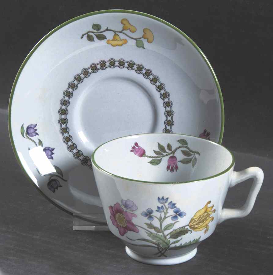 Summer Palace (Fine Stone) London Shape Footed Cup & Saucer Set by Spode-1