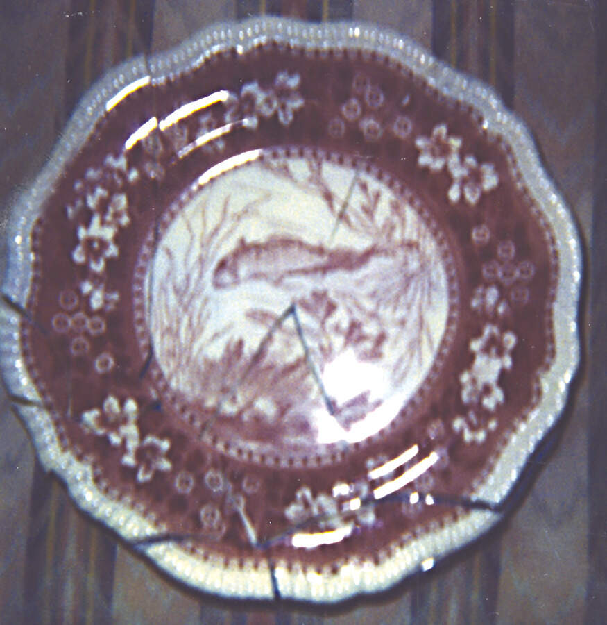 Tower Pink (Fish Center) Dinner Plate by Spode-1