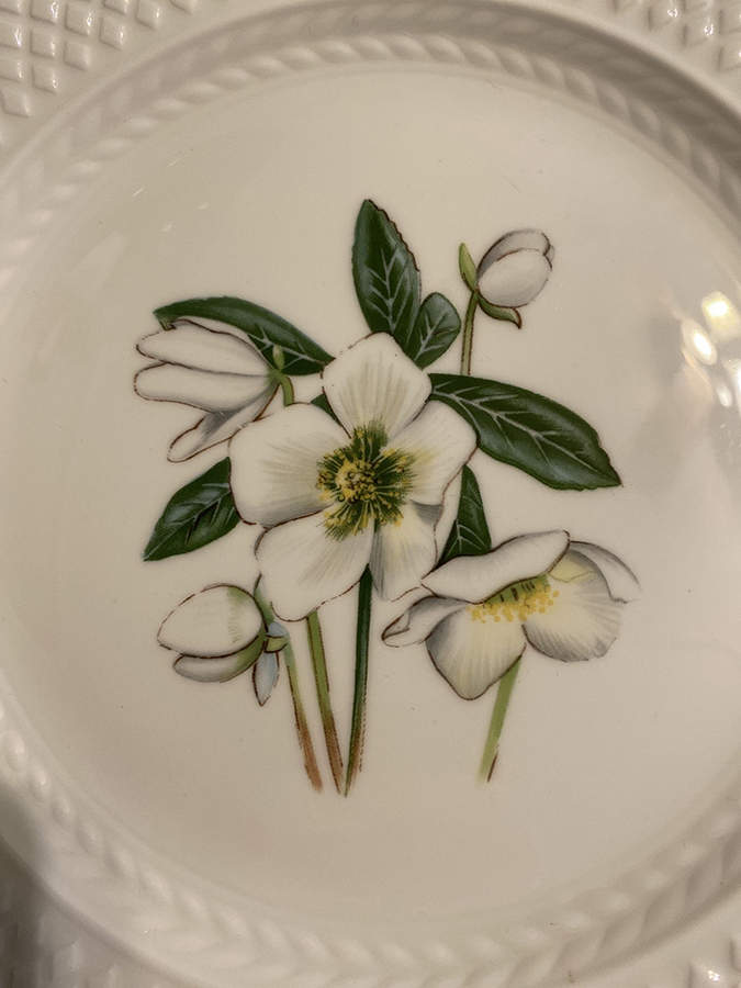 Virginia (Bone, Newer) Accent Luncheon Plate by Spode-1