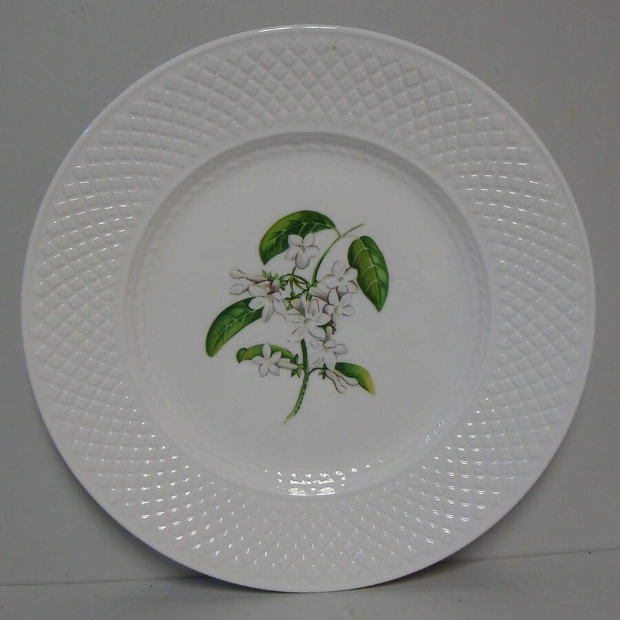 Virginia (Bone, Newer) Accent Luncheon Plate by Spode-1
