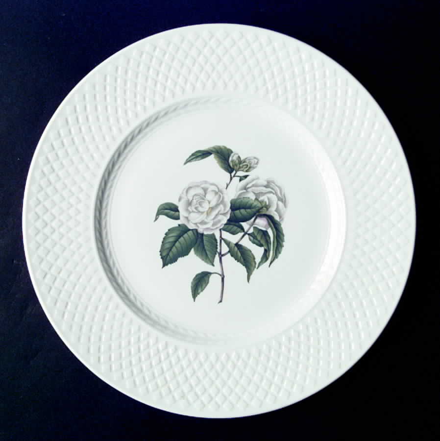 Virginia (Bone, Newer) Dinner Plate by Spode-1