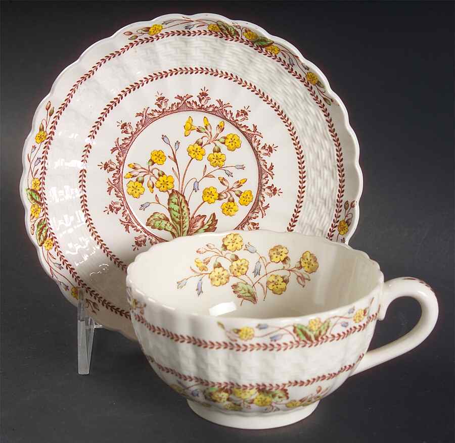 Wicker Dell Flat Cup & Saucer Set by Spode-1