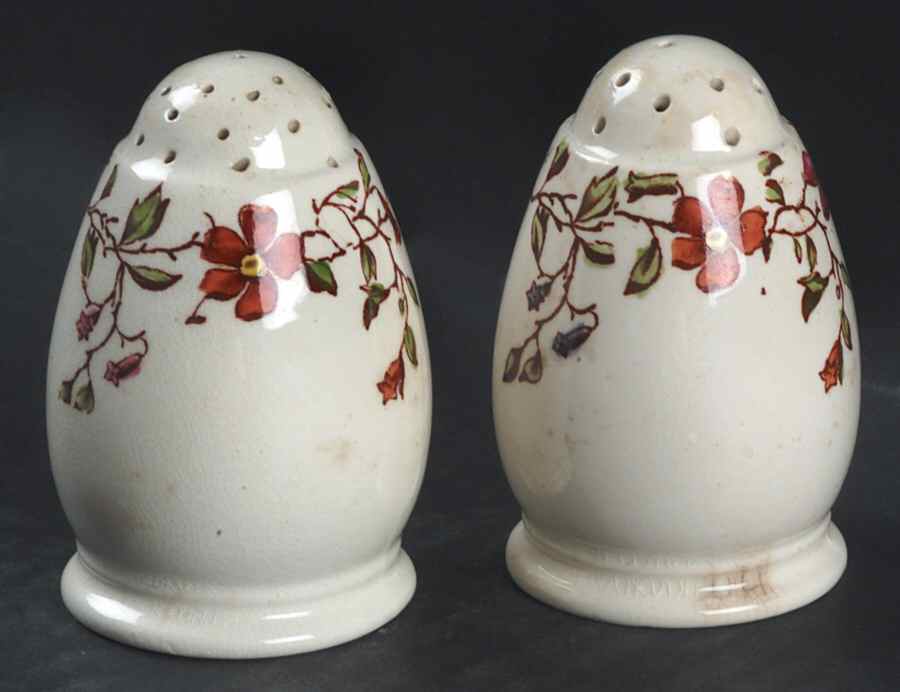 Wicker Dale Salt & Pepper Set by Spode-1