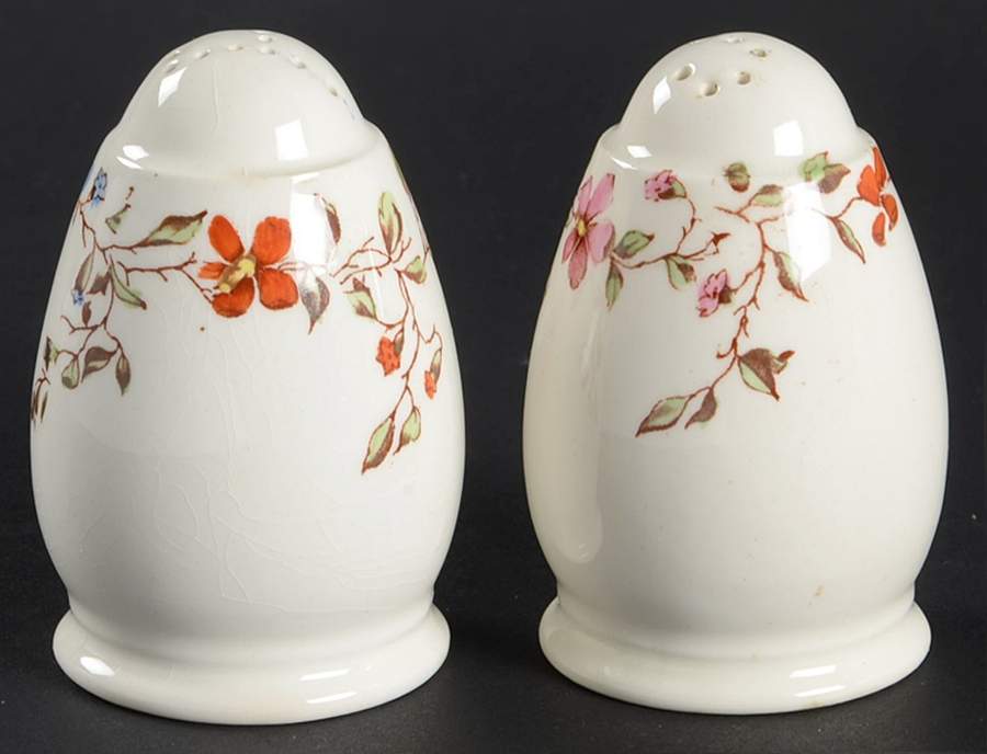 Wicker Dale Salt & Pepper Set by Spode-1