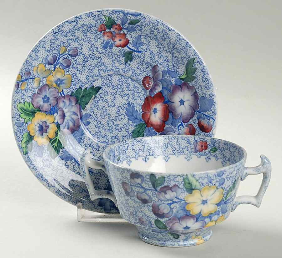 Wild Flower Blue Footed Bouillon Cup & Saucer by Spode-1