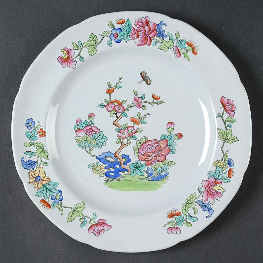Willis (Y2684) Luncheon Plate by Spode-1