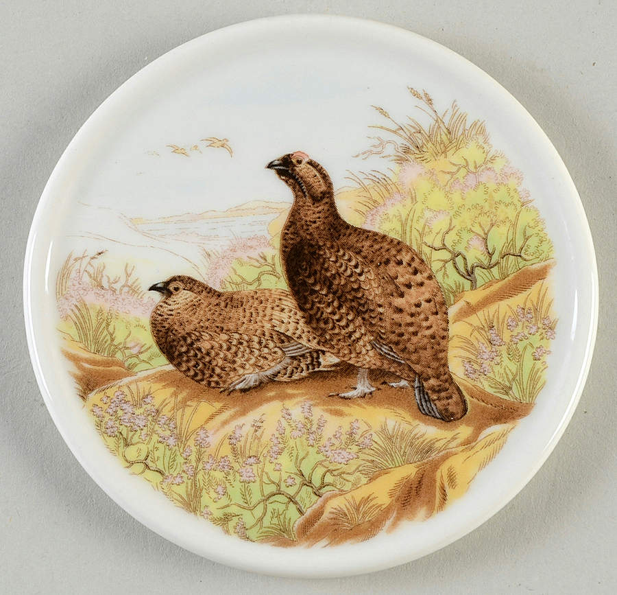 Woodland Coaster by Spode-1