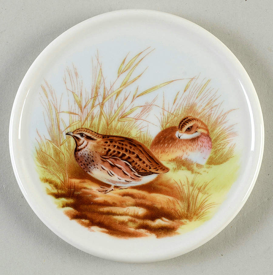 Woodland Coaster by Spode-1